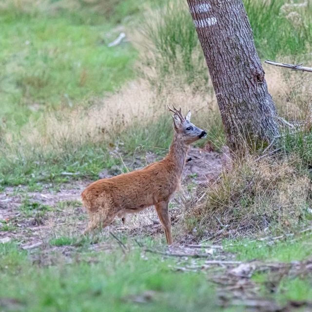 Belles rencontres ce dimanche matin.